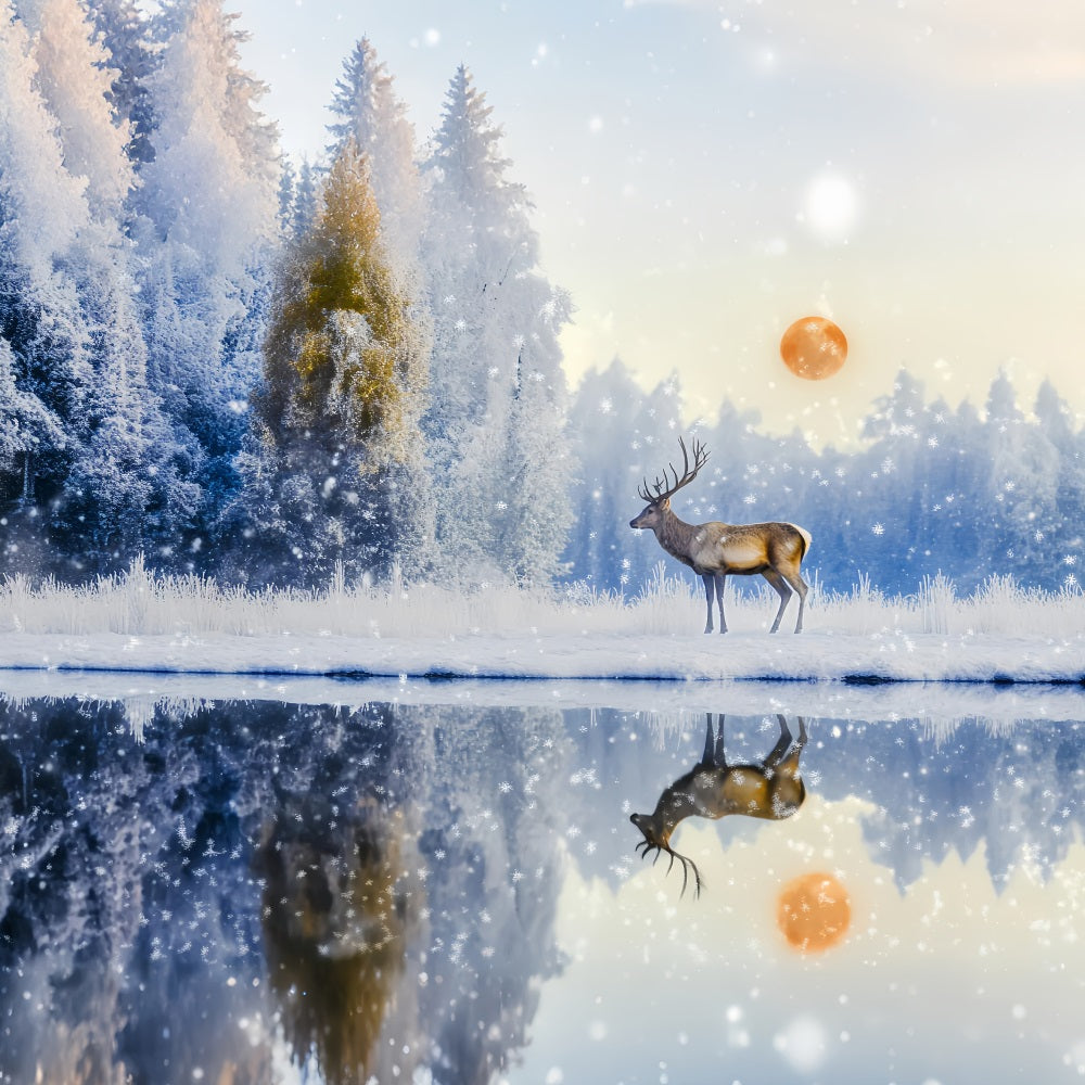 Verzauberter Wald Schneefall Hirsch Sonnenaufgang Reflexion Magischer Wald Foto Hintergrund LXX58-289