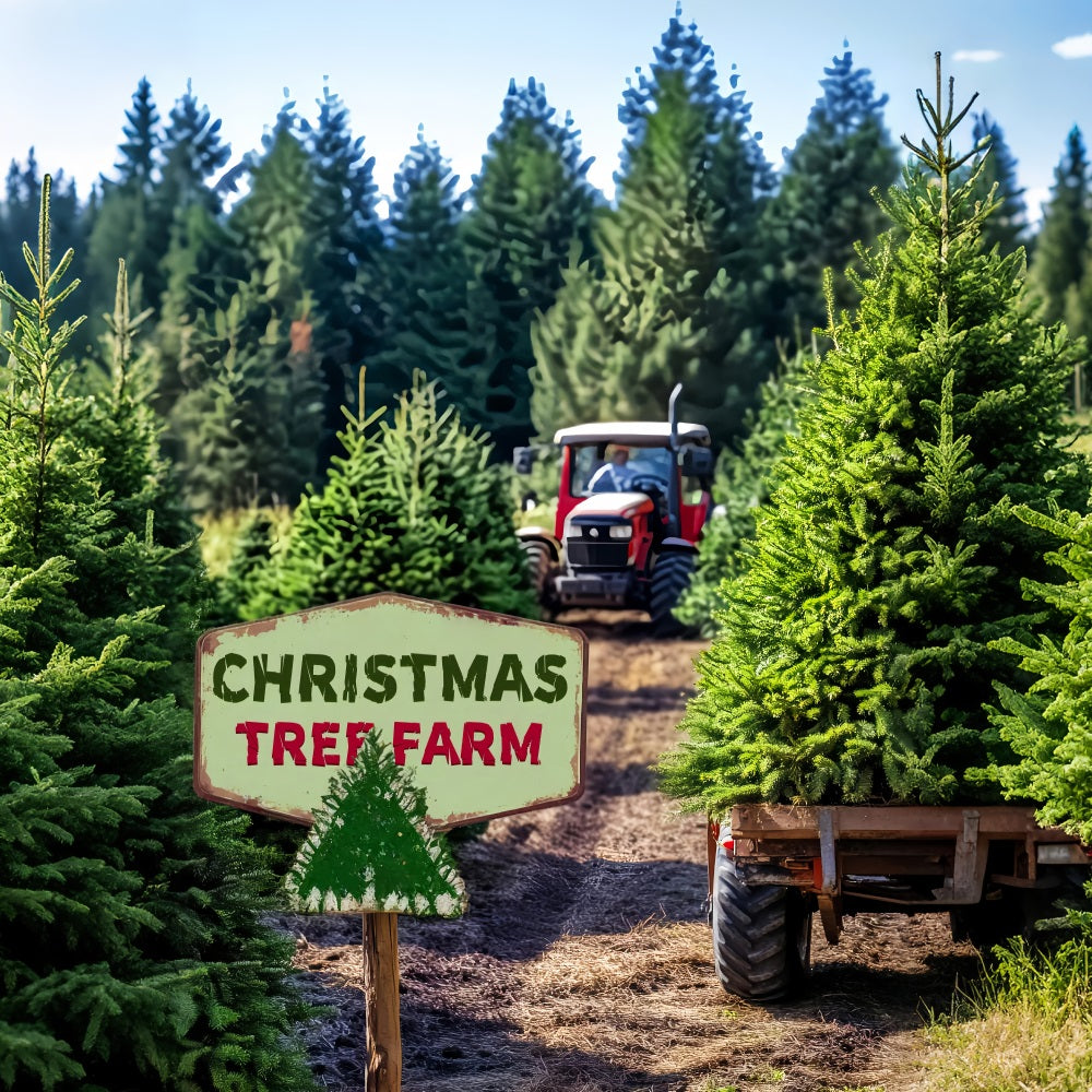 Kiefernwald Weihnachtsbaumfarm Traktor Waldfotografie-Foto Hintergrund LXX58-308