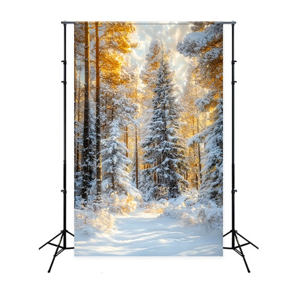 Weihnachtskiefernwald Frostige Bäume Goldener Schein Waldfotografie-Foto Hintergrund LXX58-309