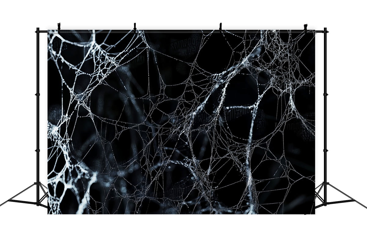 Halloweenkulisse Mitternachts Spinnennetz Foto Hintergrund LXX58-9