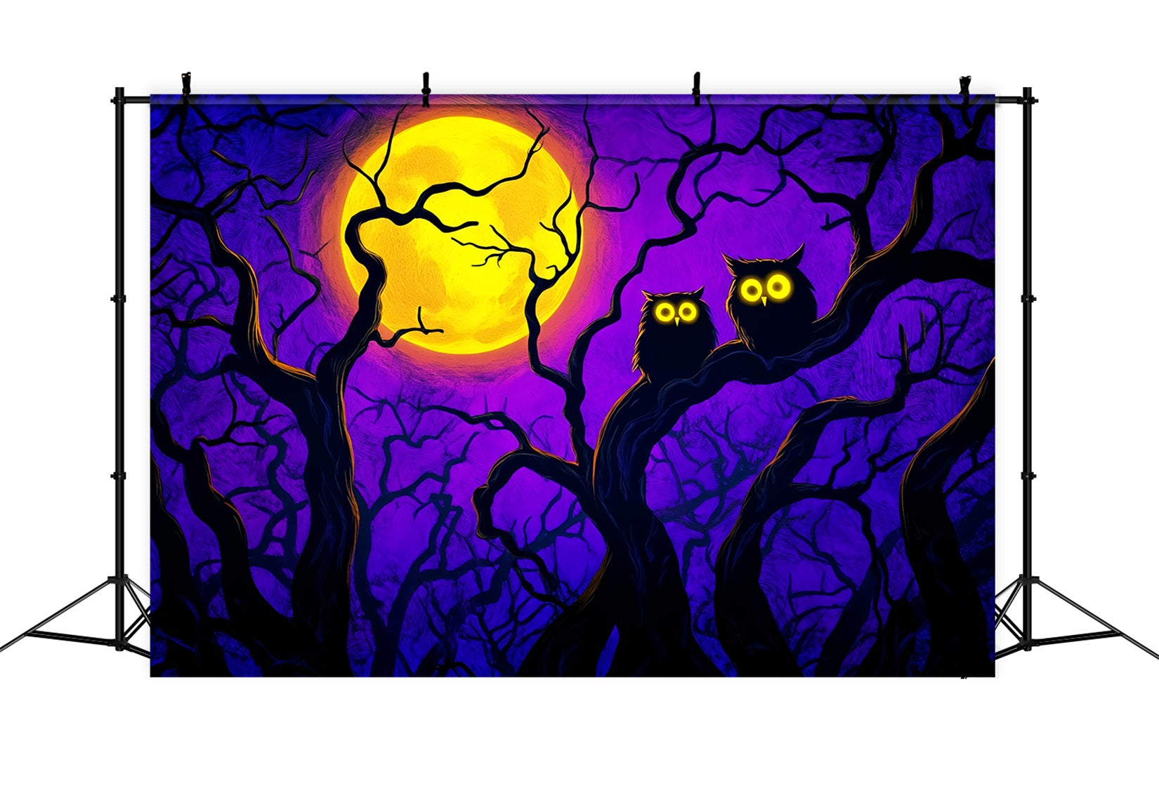 Halloween-Farben Fotohintergrund Helle Mondlicht-Eulen Äste Halloween-Mond Fotohintergrund LXX59-145