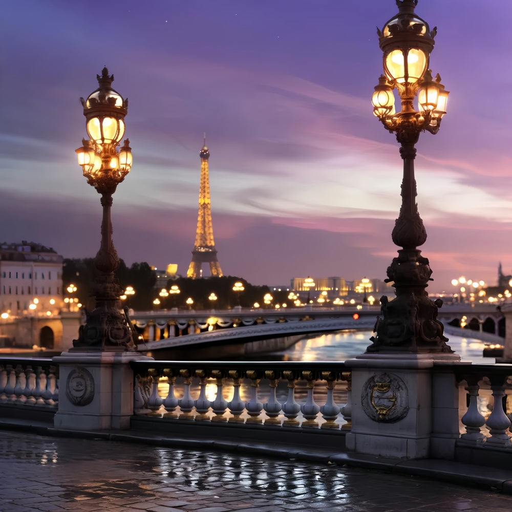 Paris-Fotohintergrund Eiffelturm Dämmerung Brücke Paris-Fotohintergrund für Fotos LXX59-32