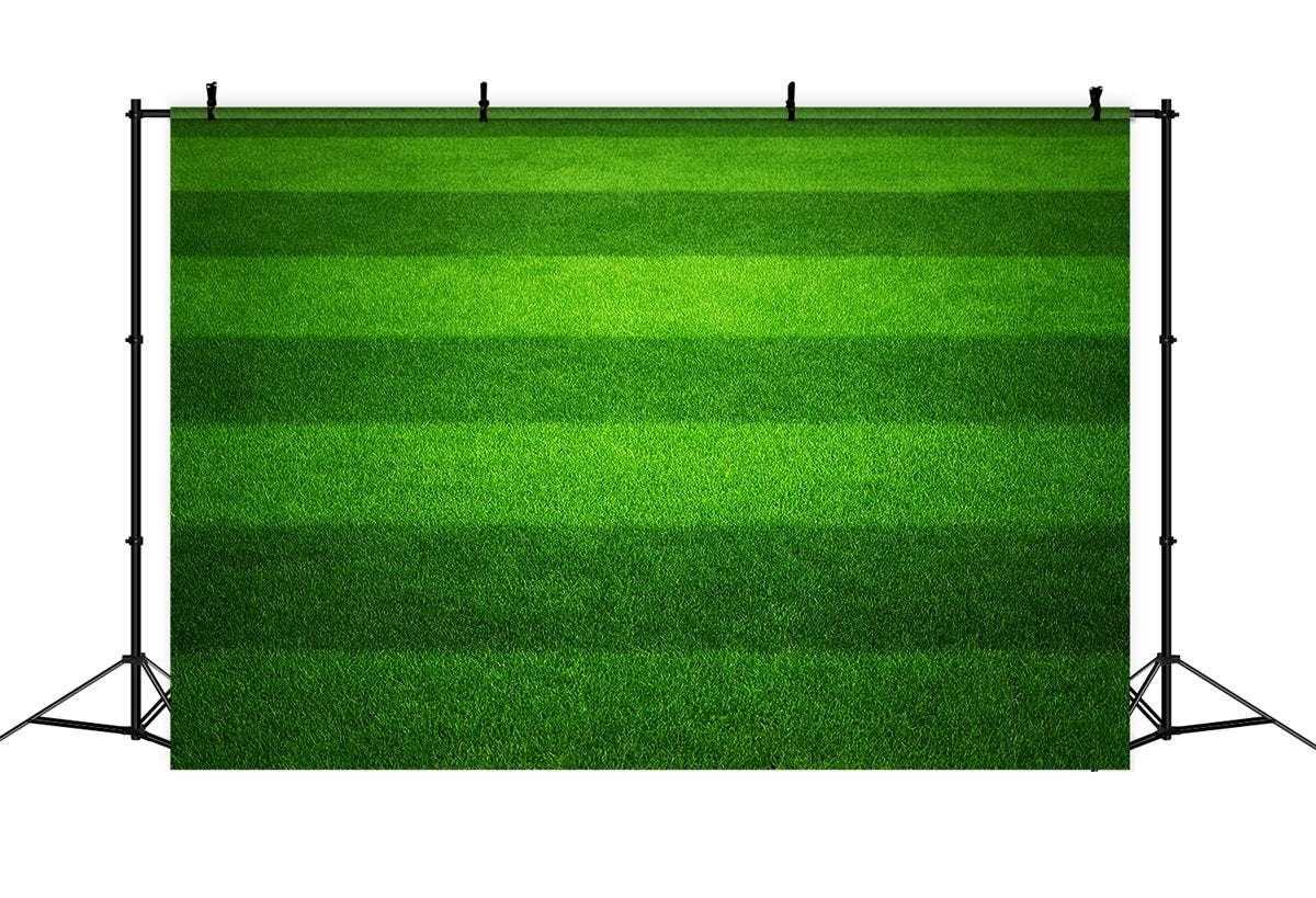 Sport-Fotohintergrund Gestreifter grüner Rasen Fußballfeld-Fotohintergrund LXX59-323