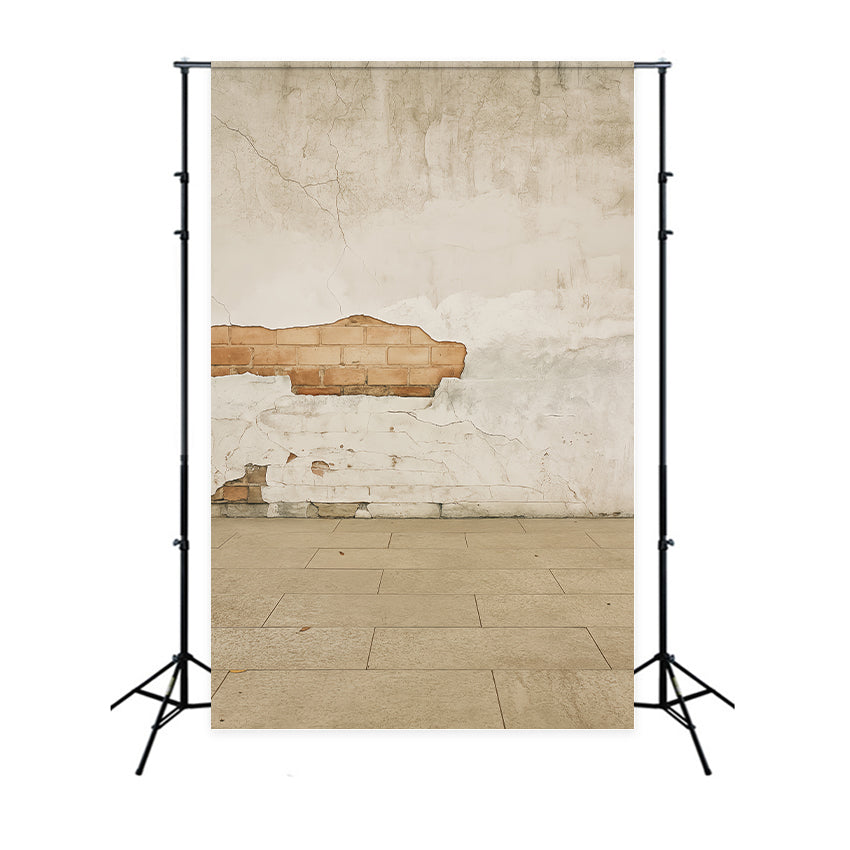 Betonwand-Fotohintergrund Rustikaler rissiger Backsteinwand-Porträtfotografie-Fotohintergrund LXX59-426
