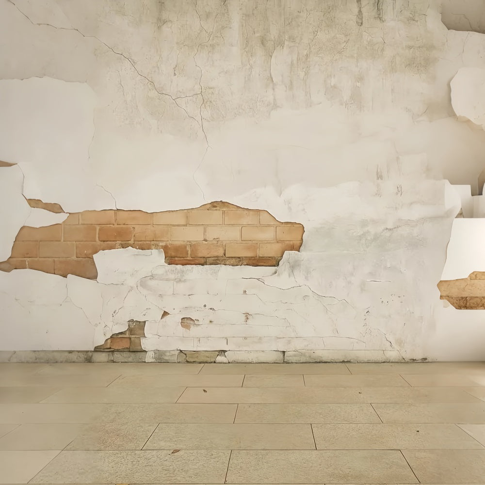 Betonwand-Fotohintergrund Rustikaler rissiger Backsteinwand-Porträtfotografie-Fotohintergrund LXX59-426