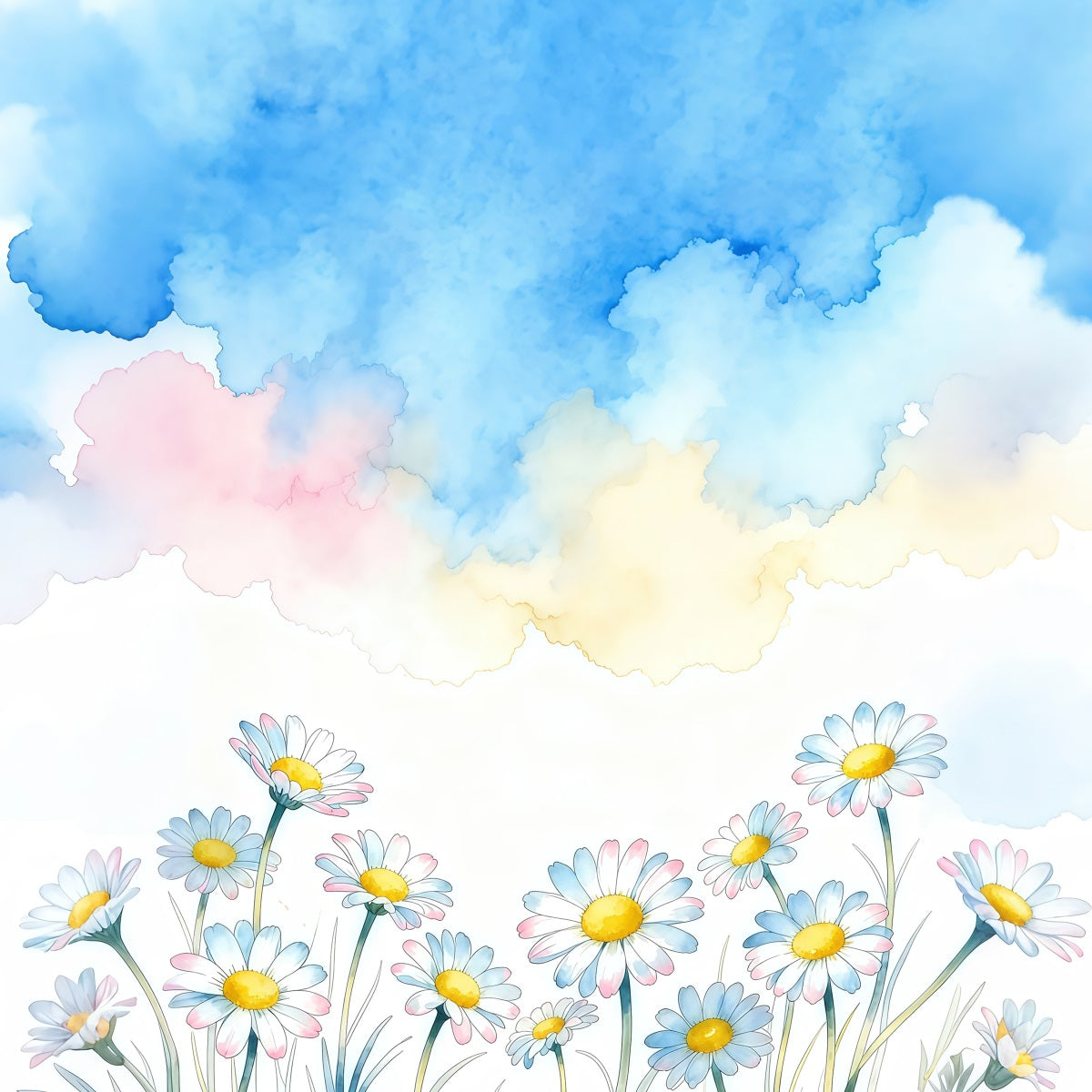 Gänseblümchen-Fotohintergrund Pastellwolken Kunstblumen Blumenfotografie-Hintergründe LXX61-208