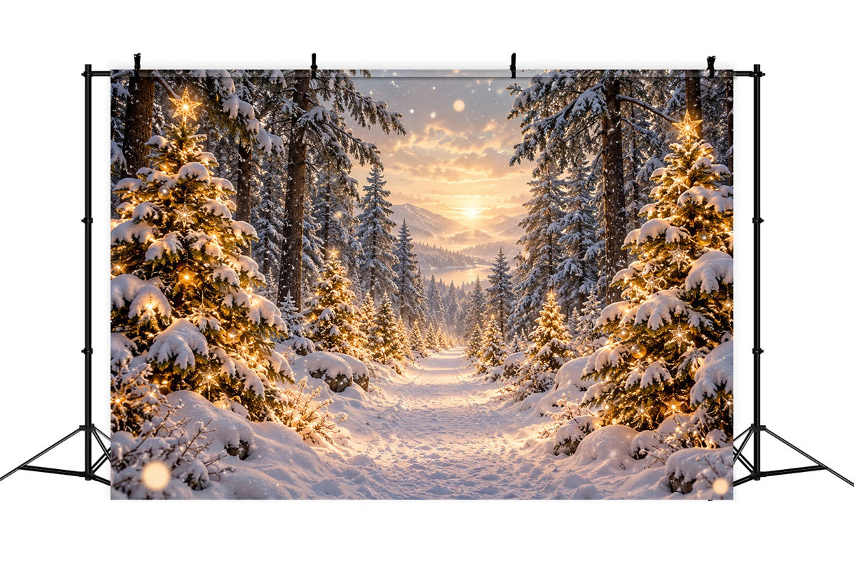 Weihnachtswald-Hintergrund Goldener Sonnenuntergang Verschneite Bäume LXX610-167