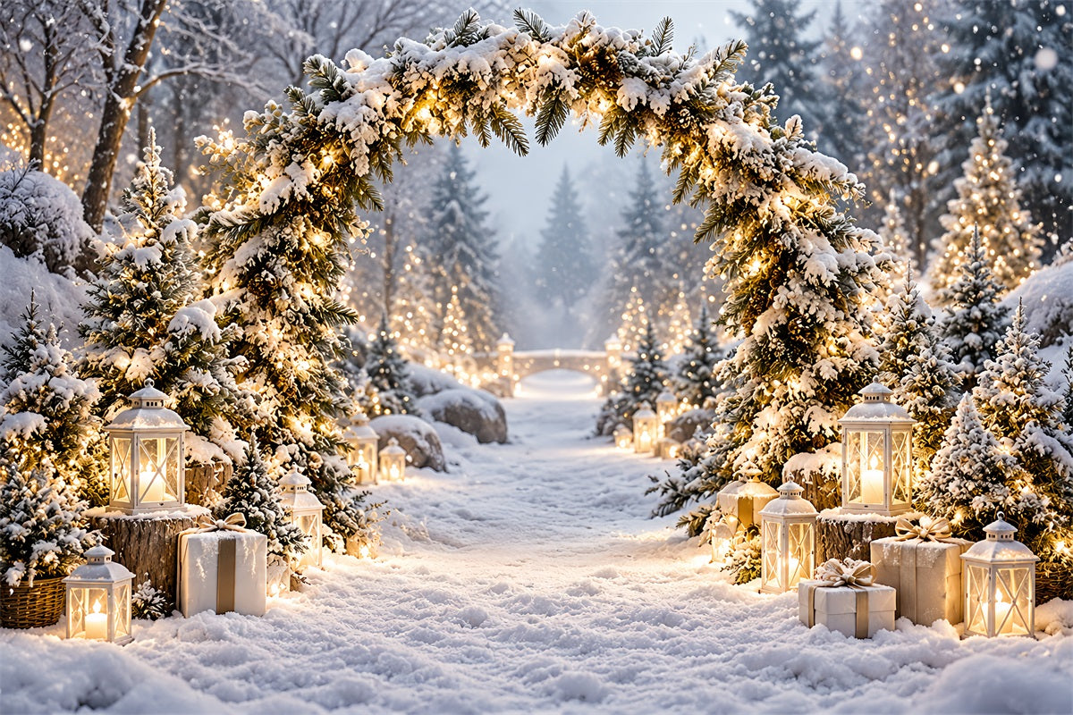Weihnachtlicher Fotohintergrund Verschneiter Laternen-Torbogen Winterwunderland LXX610-169