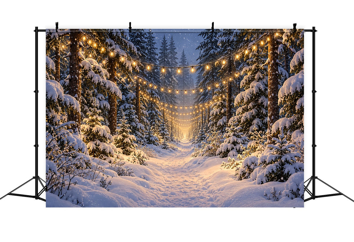 Weihnachtswald-Hintergrund Leuchtender Verschneiter Waldweg LXX610-180