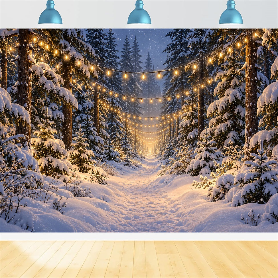 Weihnachtswald-Hintergrund Leuchtender Verschneiter Waldweg LXX610-180