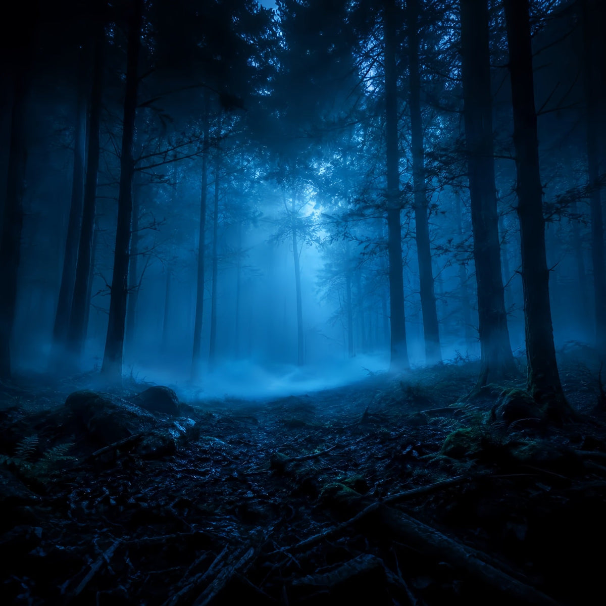 Halloween-Waldkulisse Mondbeschienener Blauer Nebelwald Vintage-Halloween-Kulisse LXX67-141