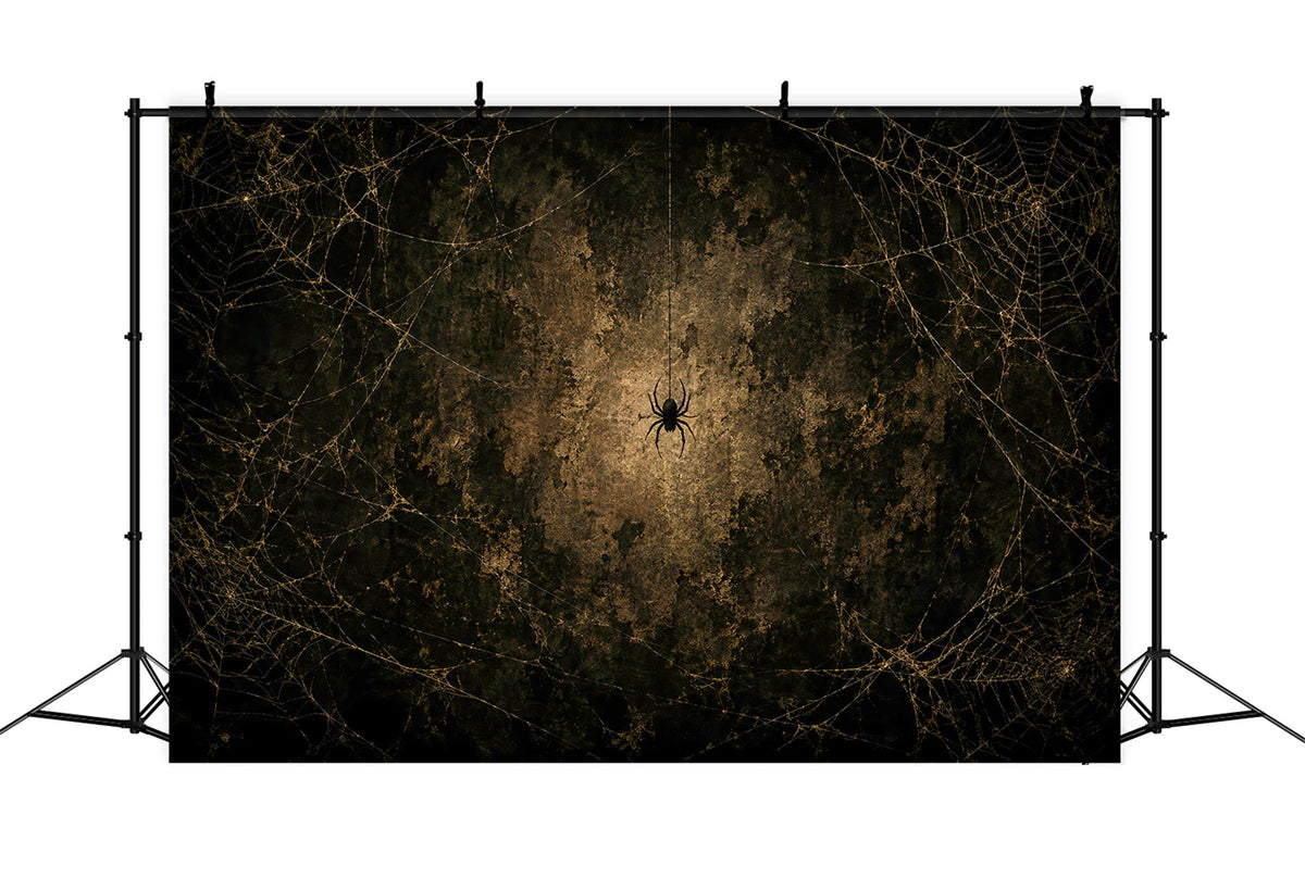 Halloween-Hintergrundfoto Goldenes Spinnennetz Grunge-Wand Halloween-Party-Hintergrund LXX67-169
