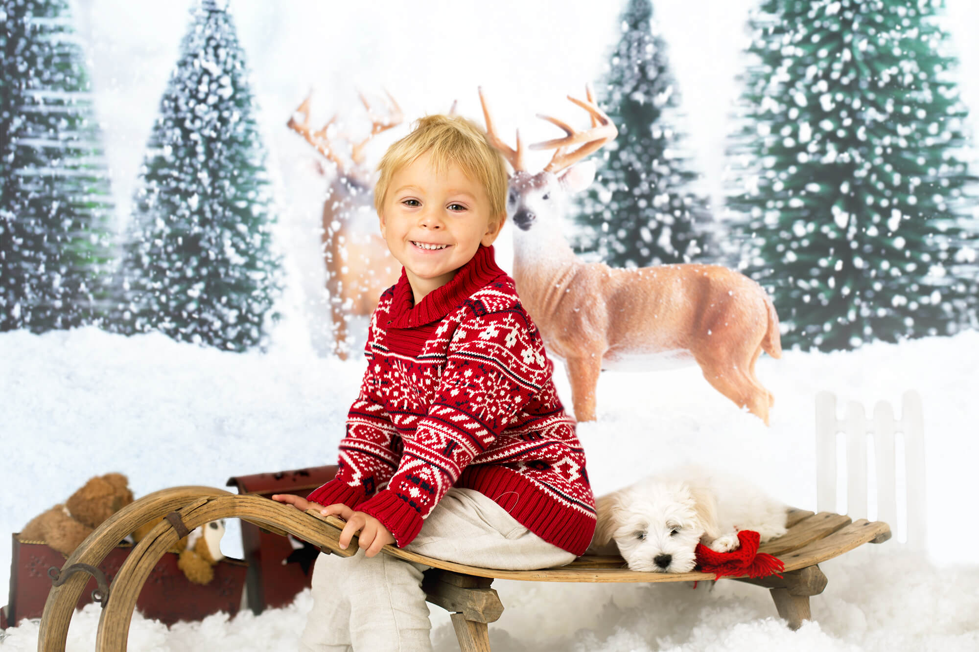 Winter Schnee Wald Elch Landschaft Hintergrund M11-13