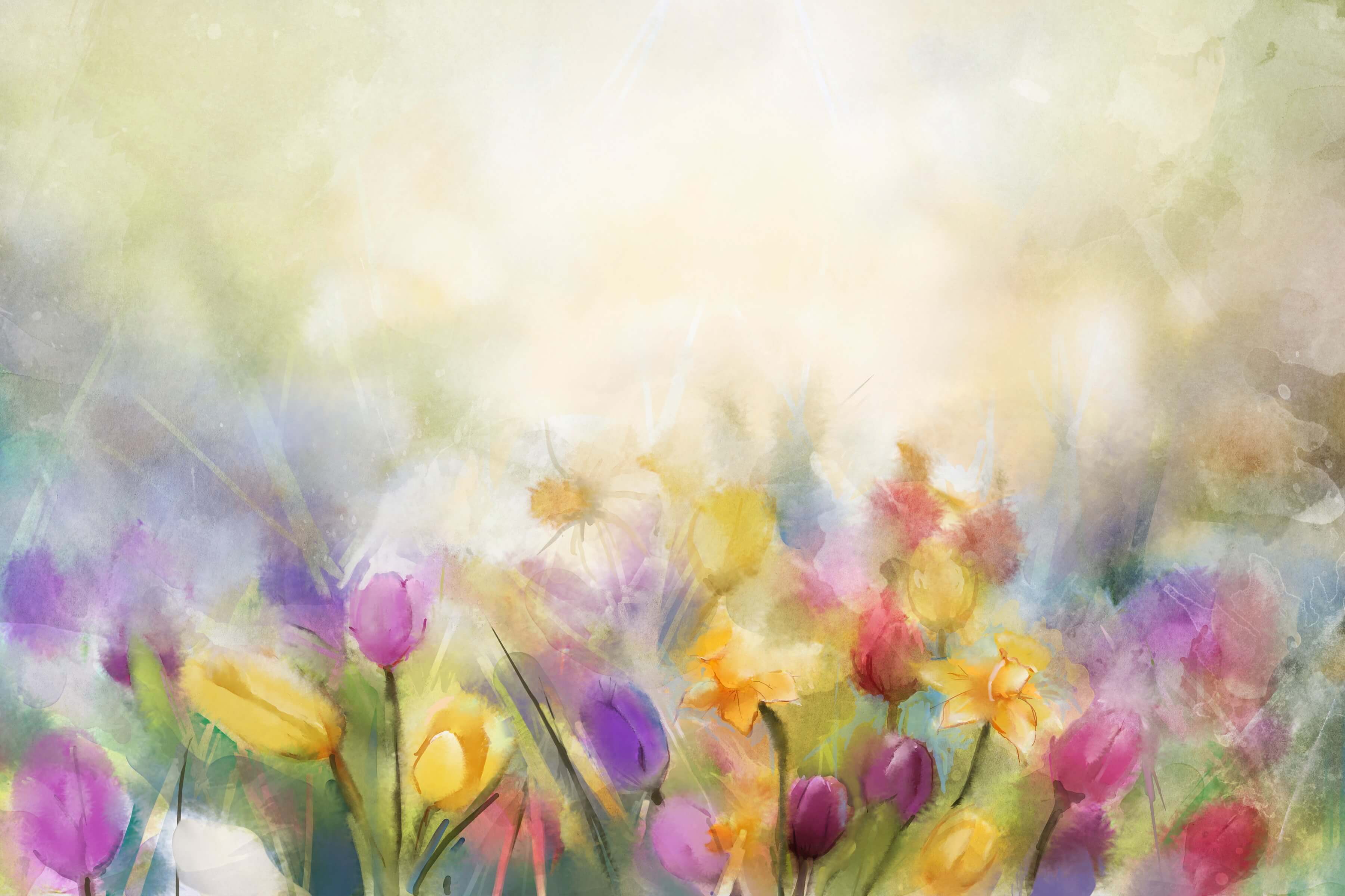 Ölgemälde Hazy Bunte Tulpen Traum Hintergrund M12-38