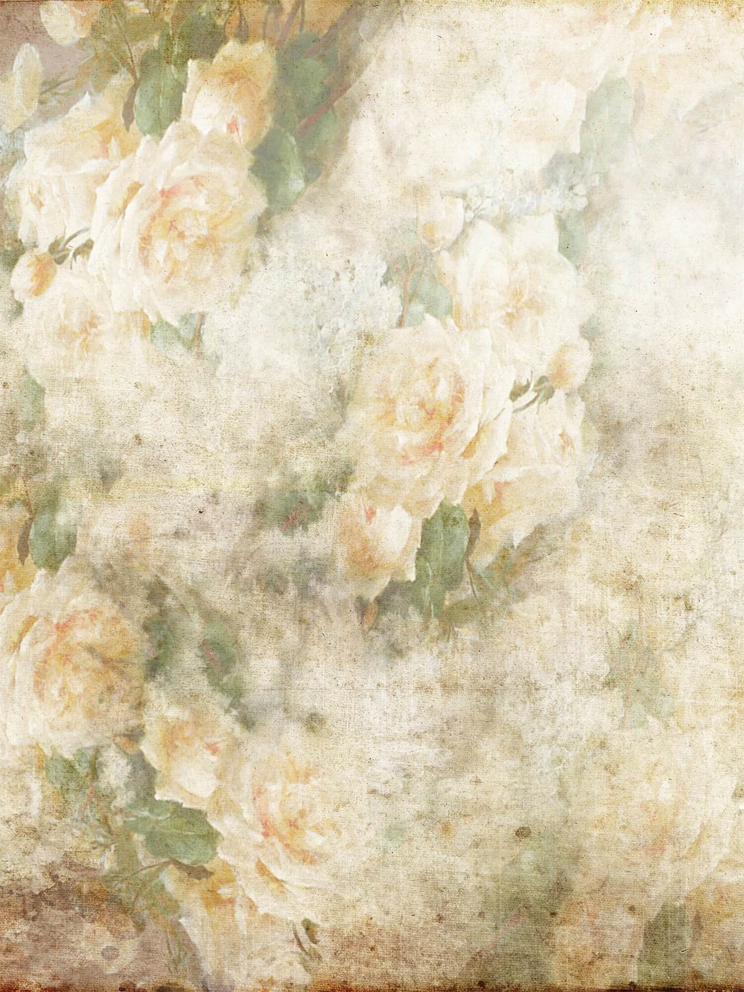 Zusammenklappbare elegante Vintage rosa/gelbliche Rosenknospe doppelseitige Kulisse 1.5x2m M12-49