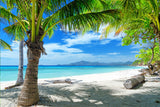 Sommer Küsten Palmen Hintergrund mit Blauem Himmel M5-116