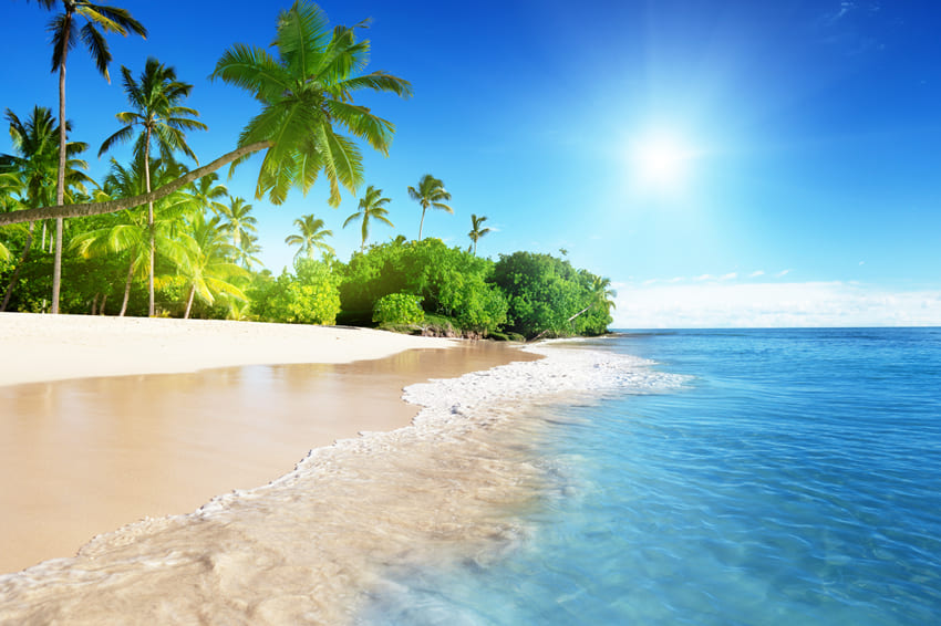 Sommer Strand Blauer Meerespalmen Hintergrund M5-127