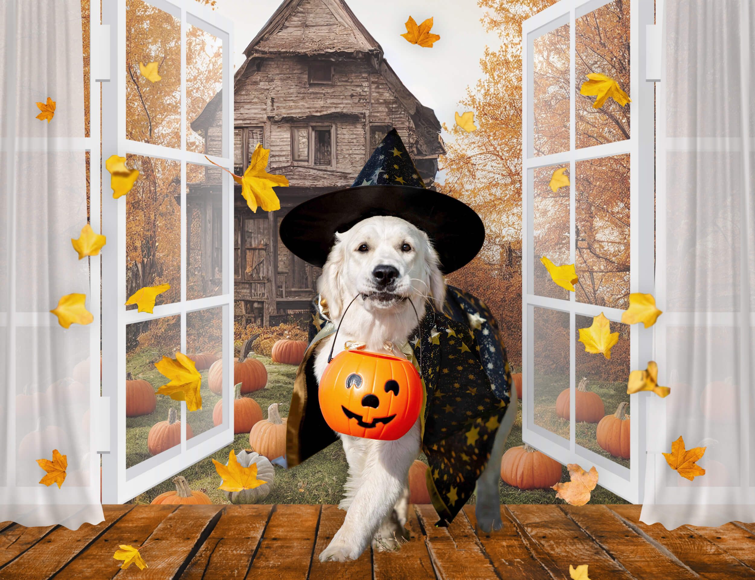 Herbstliche Fensteransicht Kürbis Altes Haus Hintergrund M6-132