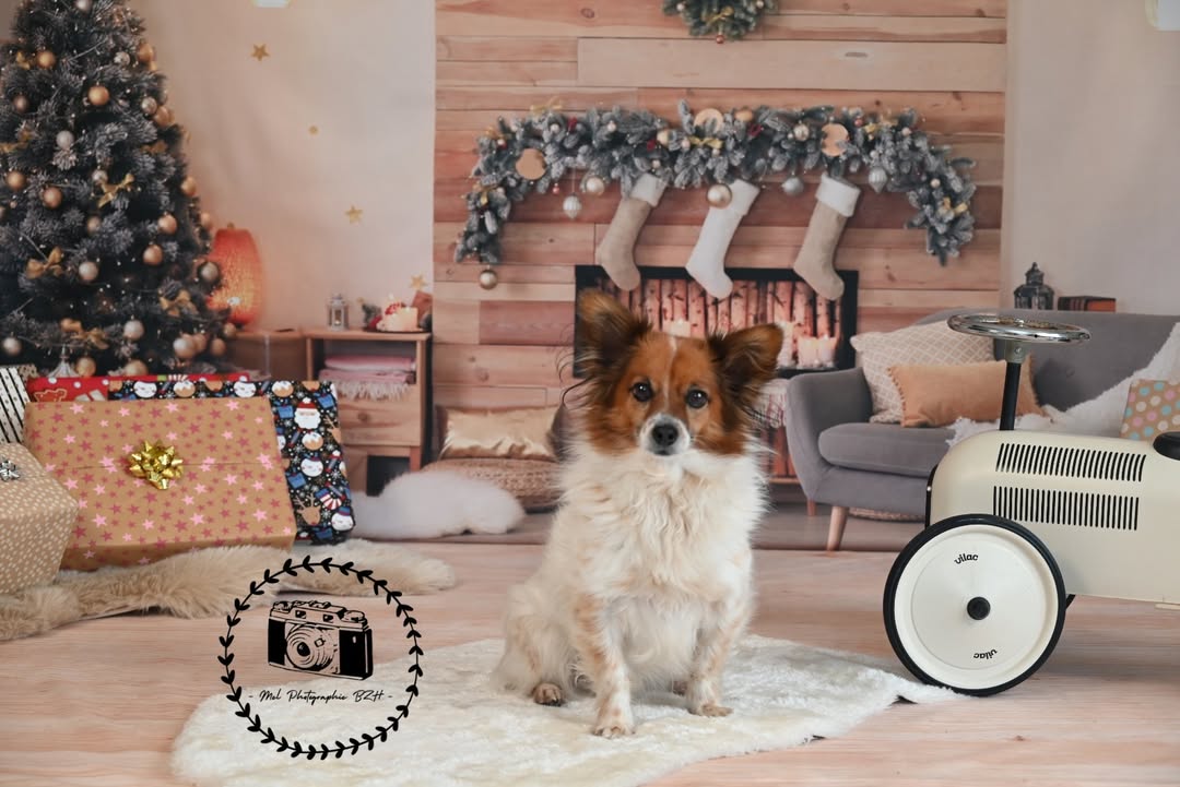Weihnachtsbaum Kaminzimmer Innenhintergrund M6-140
