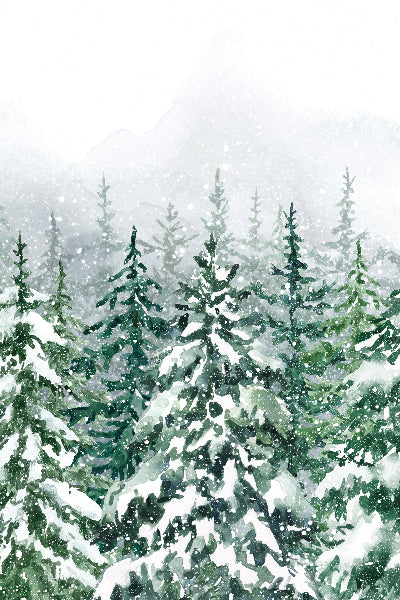 Leinwand Hintergrundbild Schneelandschaft Winter Pinienwald M7-43