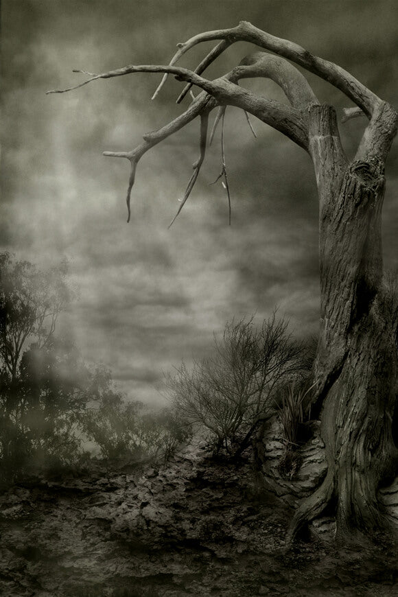 Gruselige Landschaft Tote Bäume Halloween-Kulisse M8-03