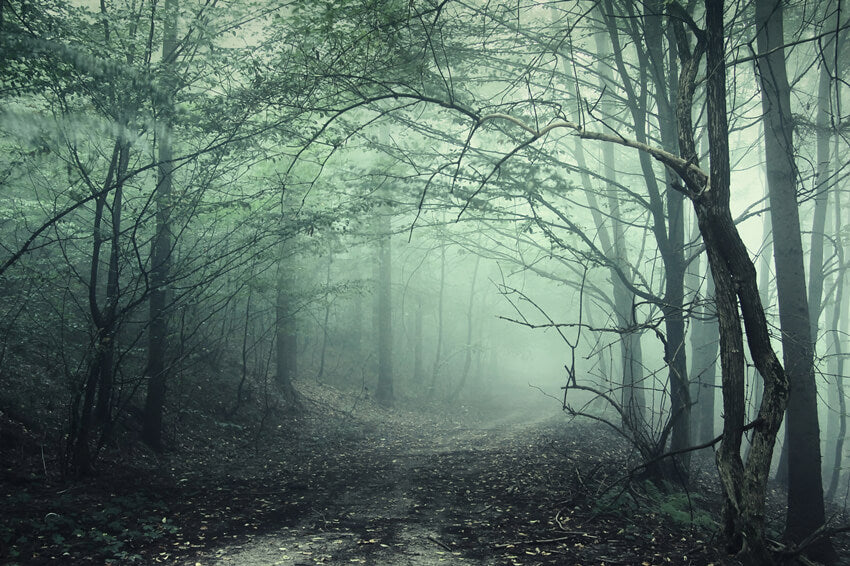 Mysteriöser Wald Nebliger Pfad Halloween Kulisse M8-09