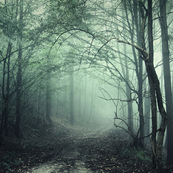 Mysteriöser Wald Nebliger Pfad Halloween Kulisse M8-09