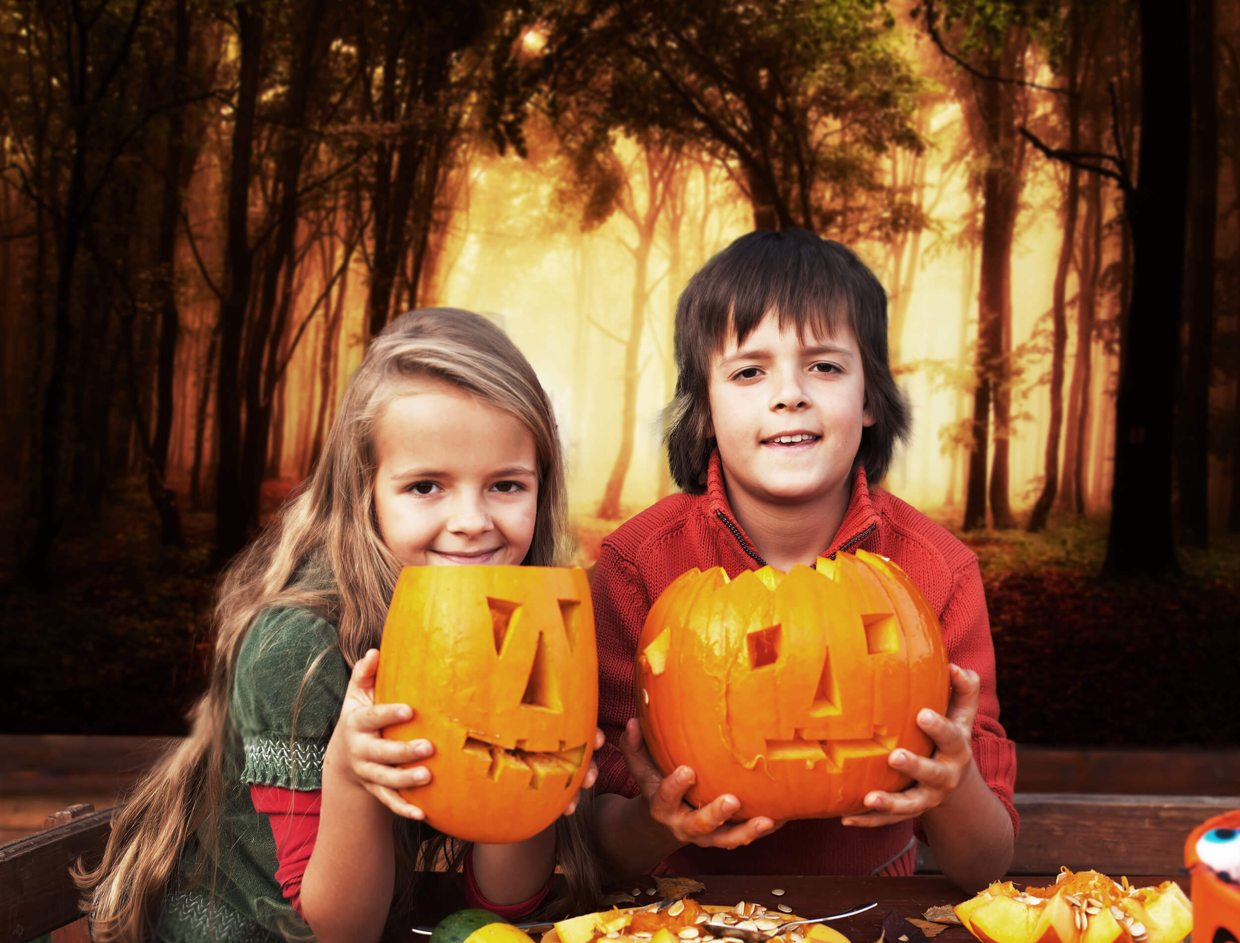 Herbst nebligen Weg Waldlandschaft Hintergrund M8-12