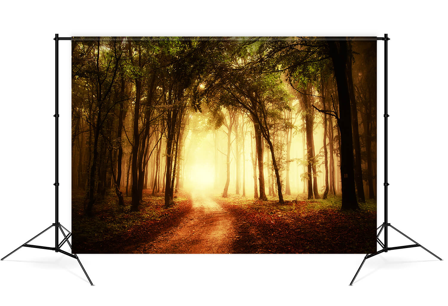 Herbst nebligen Weg Waldlandschaft Hintergrund M8-12