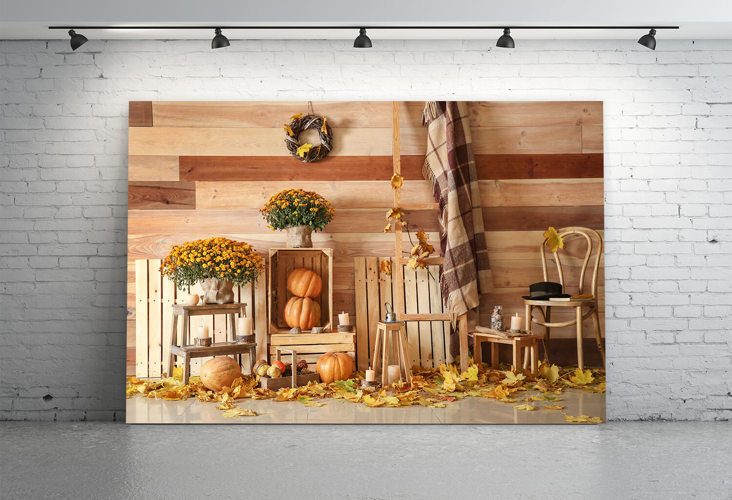 Herbst Ernte Kürbisse Fotografie Kulisse M8-32