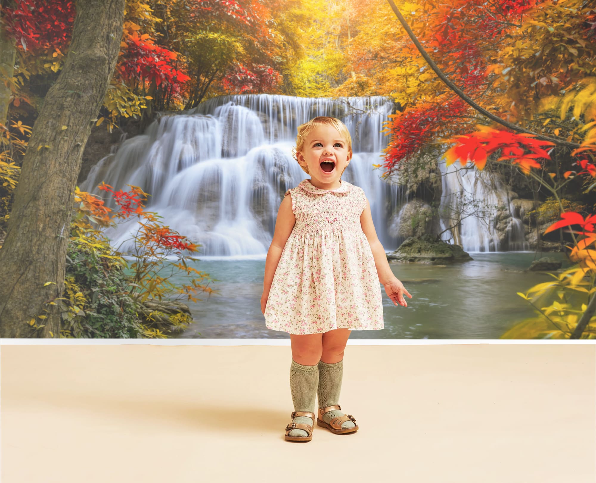 Ahornblätter Wasserfall Herbst Landschaft Hintergrund M8-52