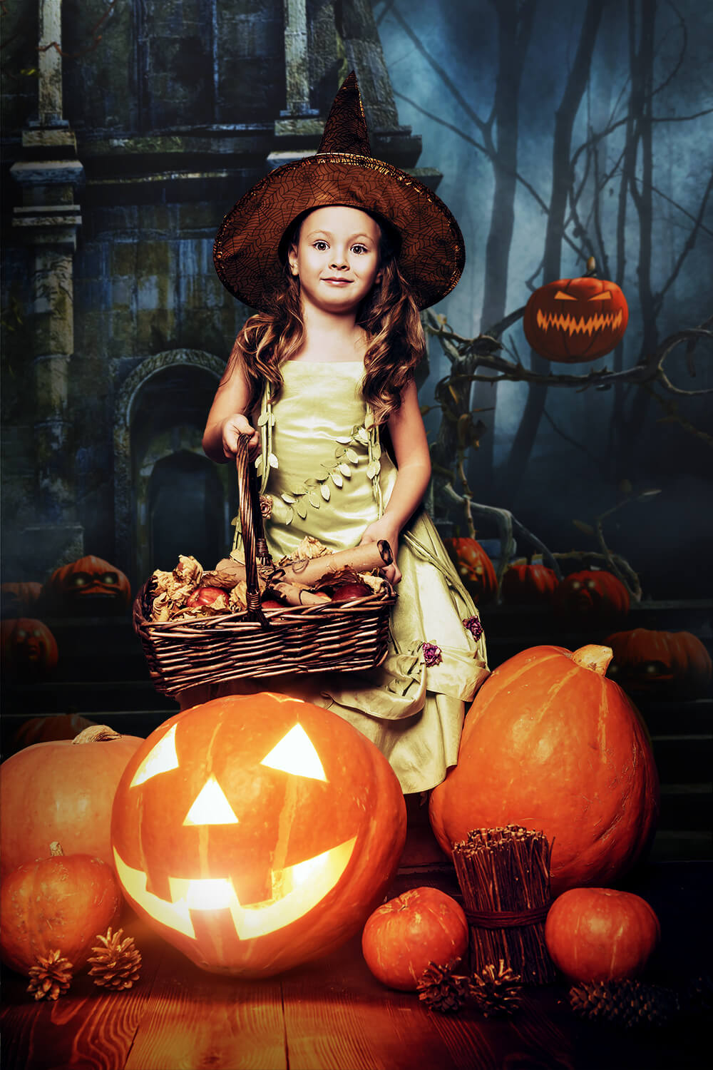 Halloween Horror Night Haunted Castle Kulisse M8-58