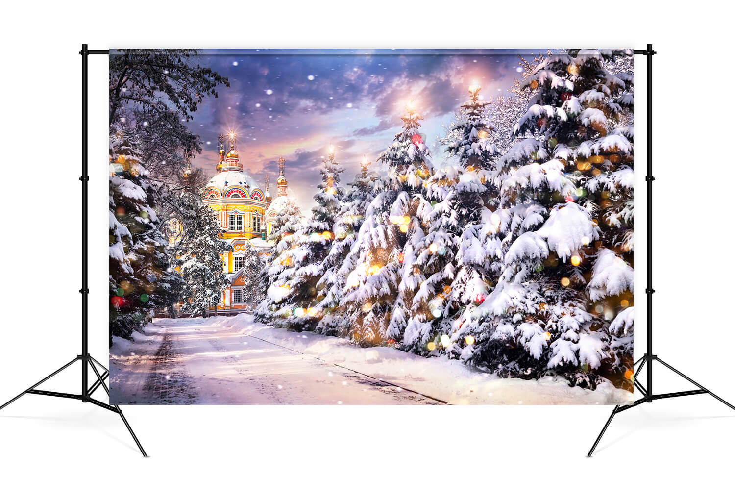 Winterschloss verschneite Straße Baum Fotokulisse M9-12