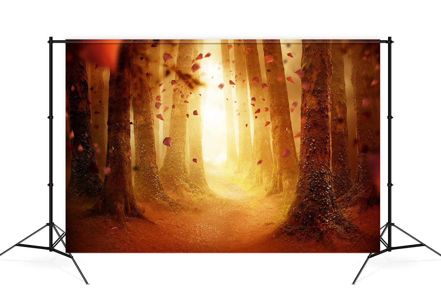 Herbst Wald Weg fallenden Blättern Hintergrund M9-31