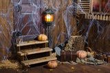 Altes Holz Zimmer Spinnennetz Halloween Kulisse M9-34