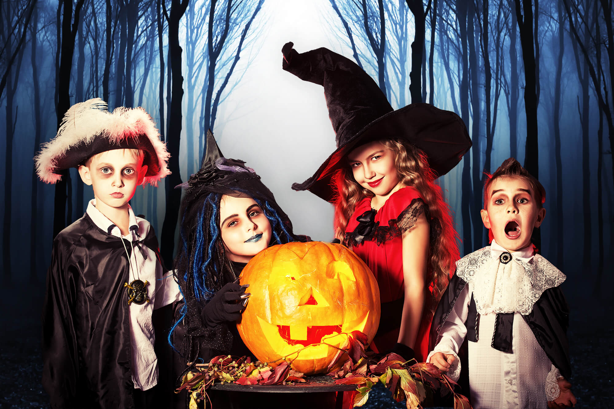 Mysteriöser nebliger Wald Halloween-Hintergrund M9-56