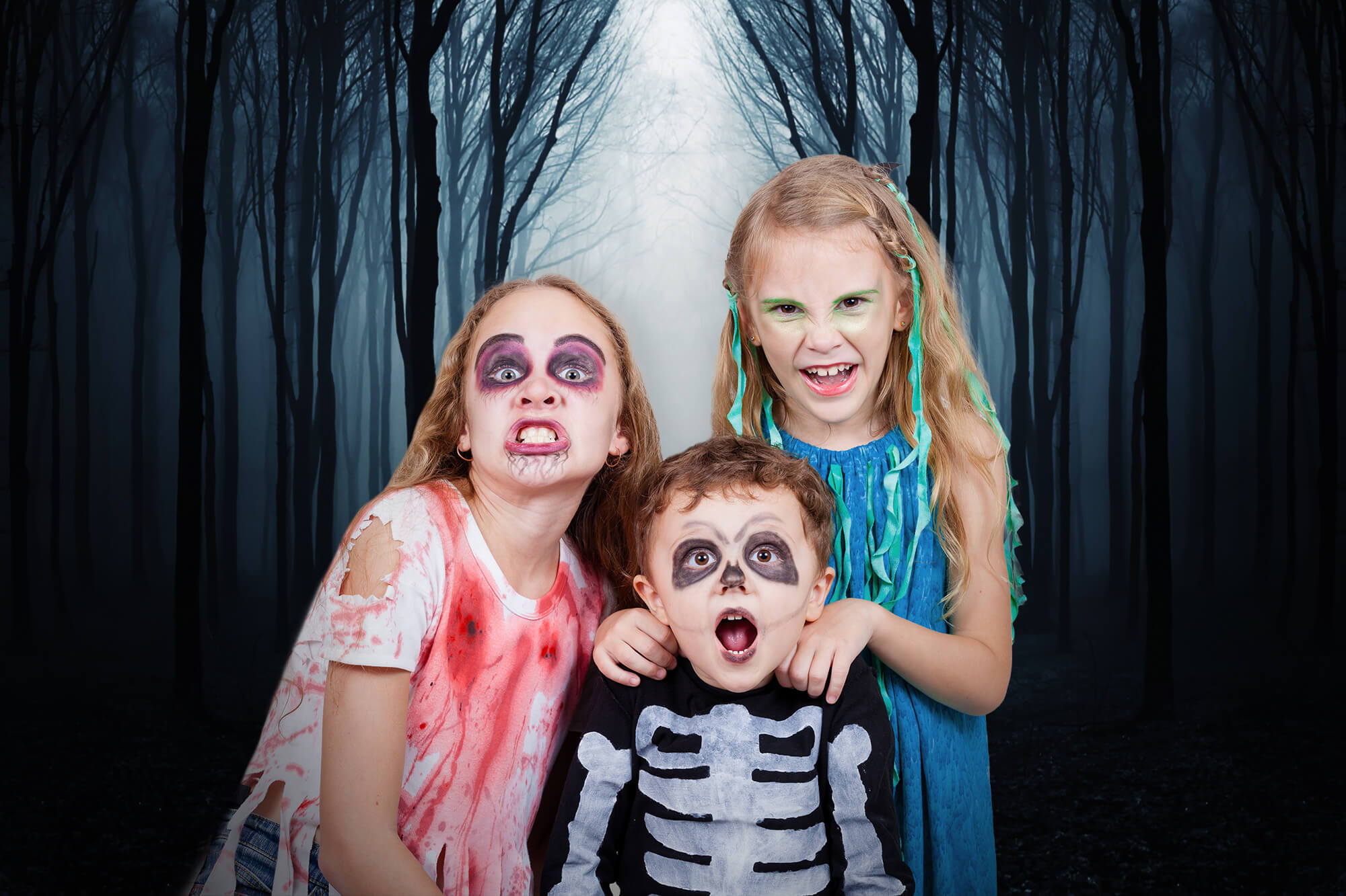 Mysteriöser nebliger Wald Halloween-Hintergrund M9-56