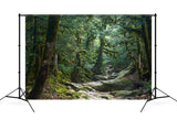 Mysteriöser Dschungel Pfad Fotografie Hintergrund M9-57
