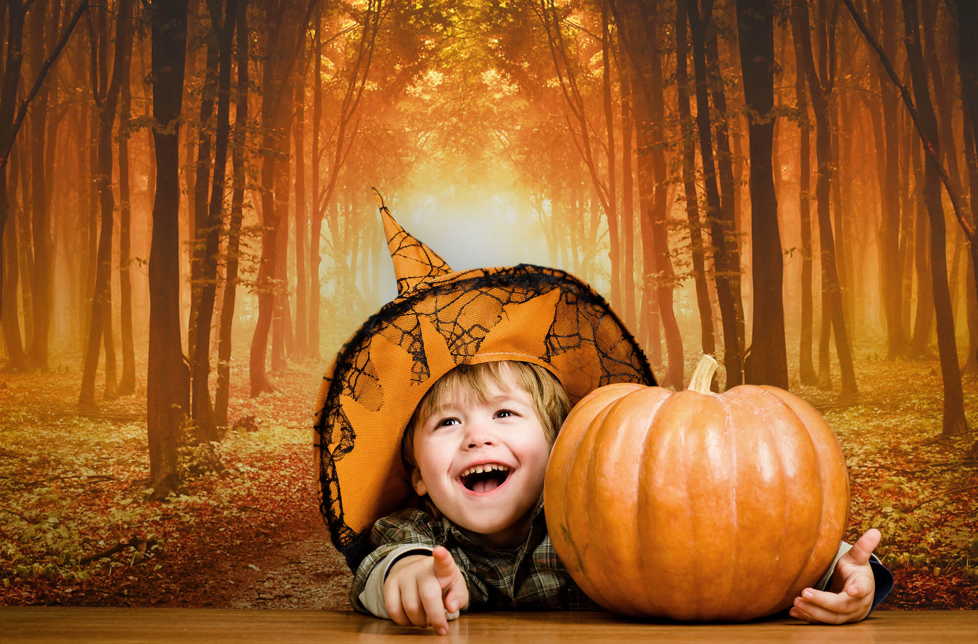 Herbst Wald Afterglow Gefallene Blätter Hintergrund M9-58