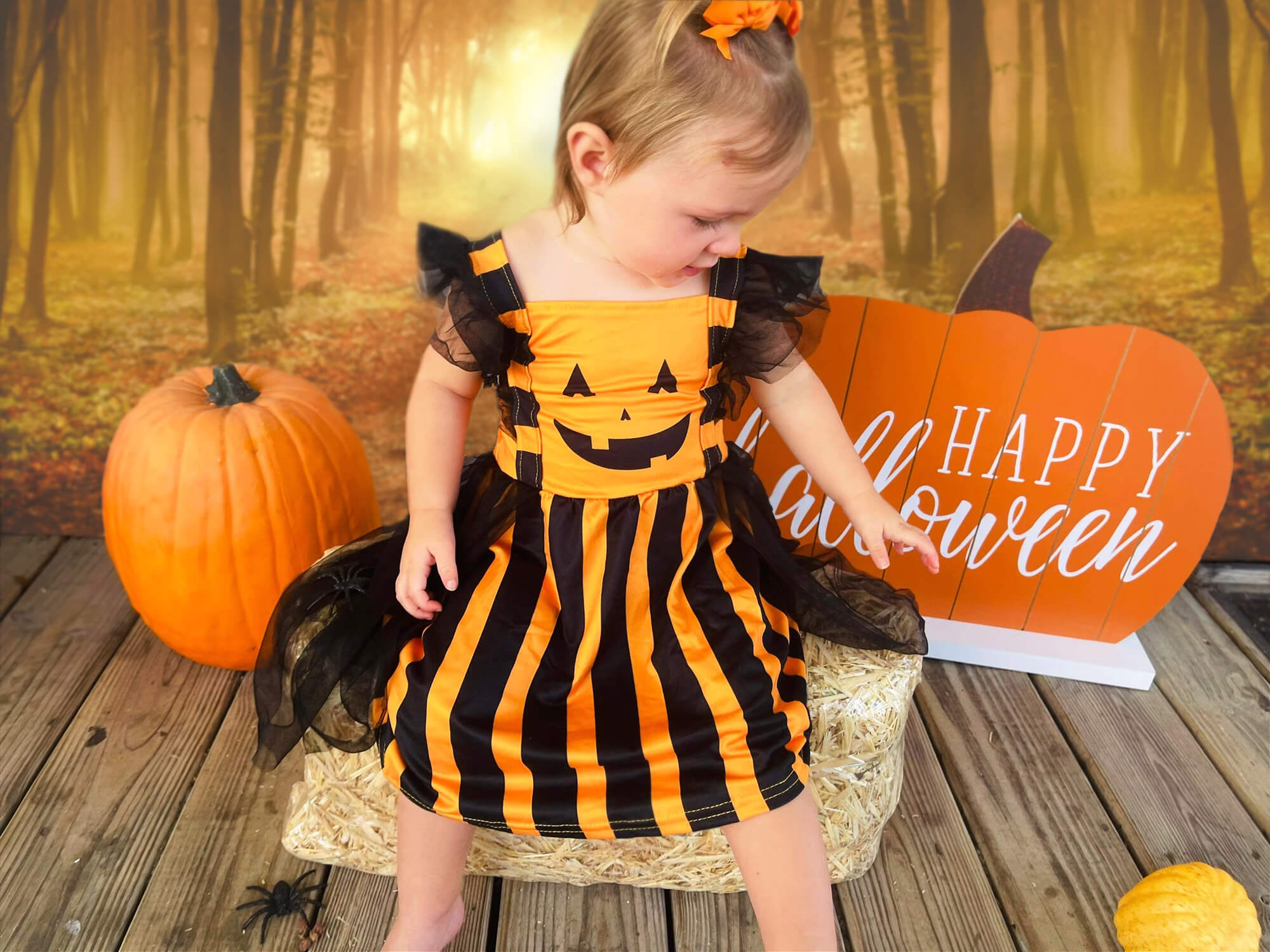 Herbst Wald Afterglow Gefallene Blätter Hintergrund M9-58