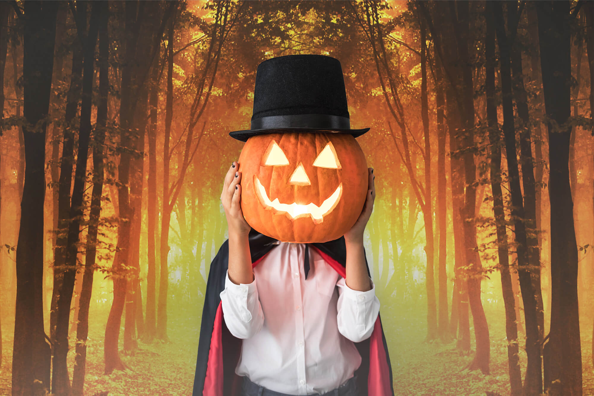 Herbst Wald Afterglow Gefallene Blätter Hintergrund M9-58