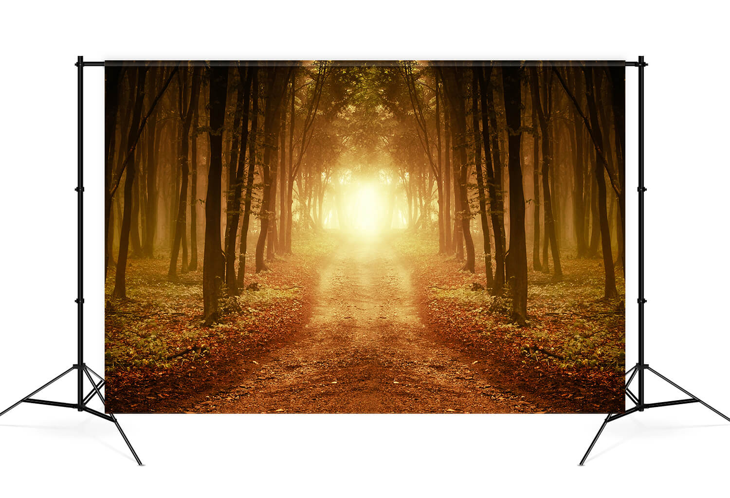 Herbst Wald Afterglow Gefallene Blätter Hintergrund M9-58