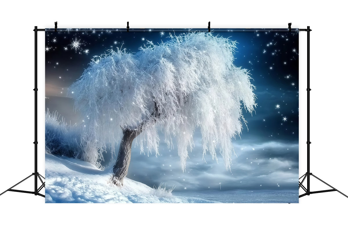 Winterwald Hintergrund Schneefall Gelassenheit Hain Foto Hintergrund MRR7-106
