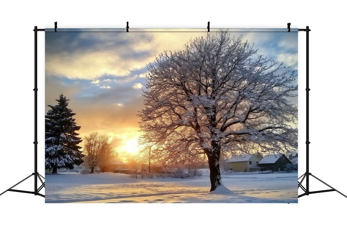 Backdrop Wald Winter Sonnenuntergang Gelassenheit Foto Hintergrund MRR7-107