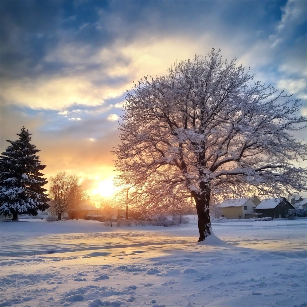Backdrop Wald Winter Sonnenuntergang Gelassenheit Foto Hintergrund MRR7-107