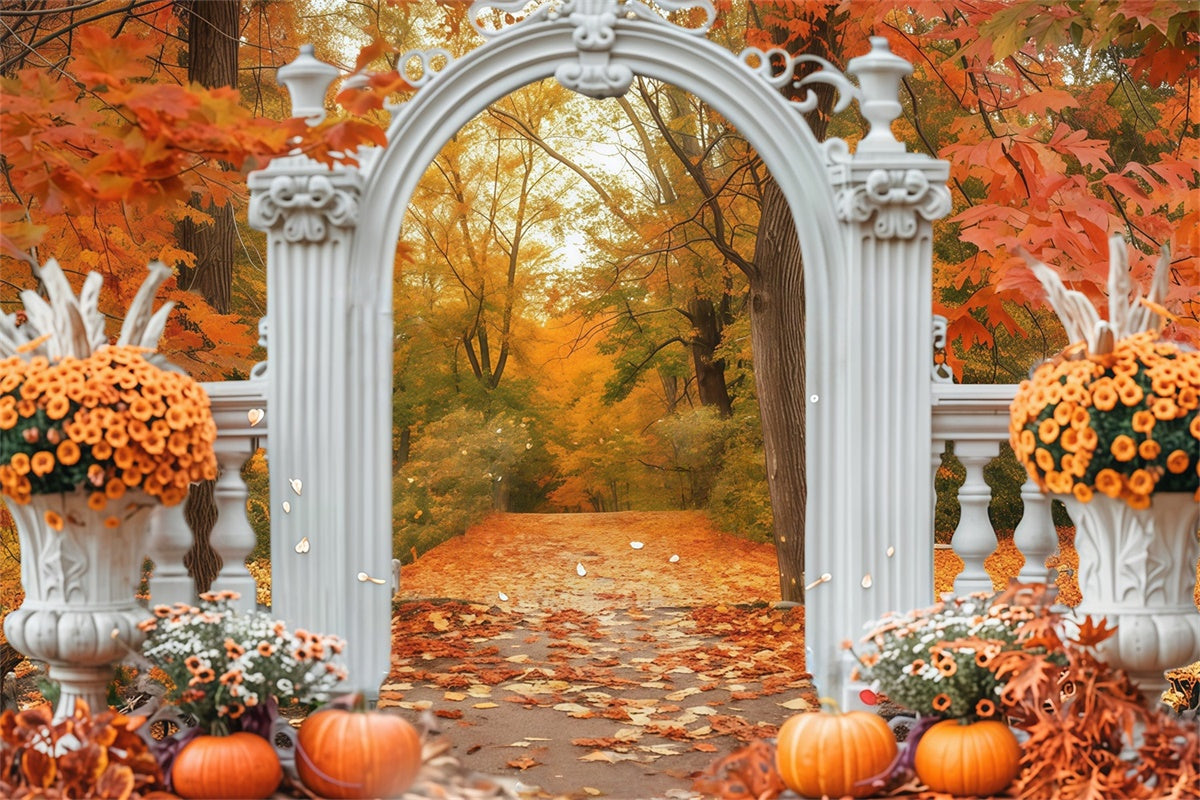 Herbstlaub Hintergrundkulisse Torbogen Waldweg Fotohintergrund MRR7-140