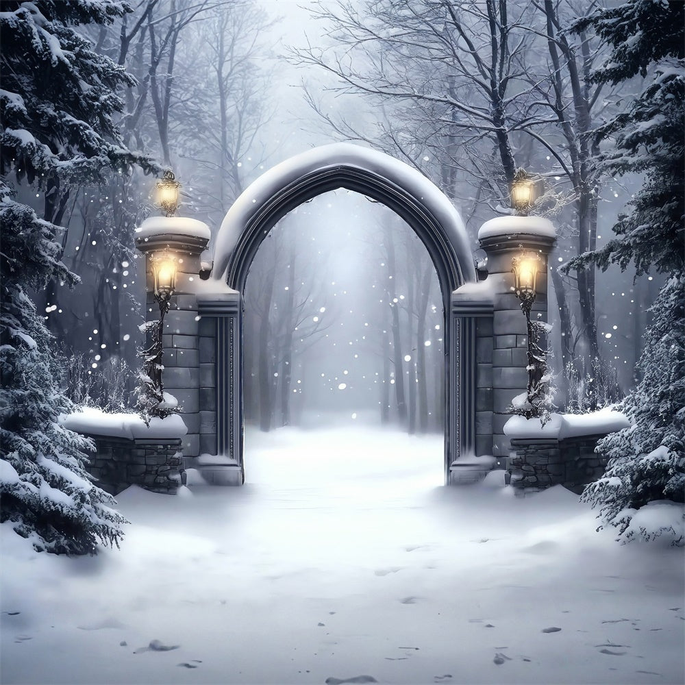 Winter Snow Backdrop Gotisches Schneetor Backdrop MRR7-152