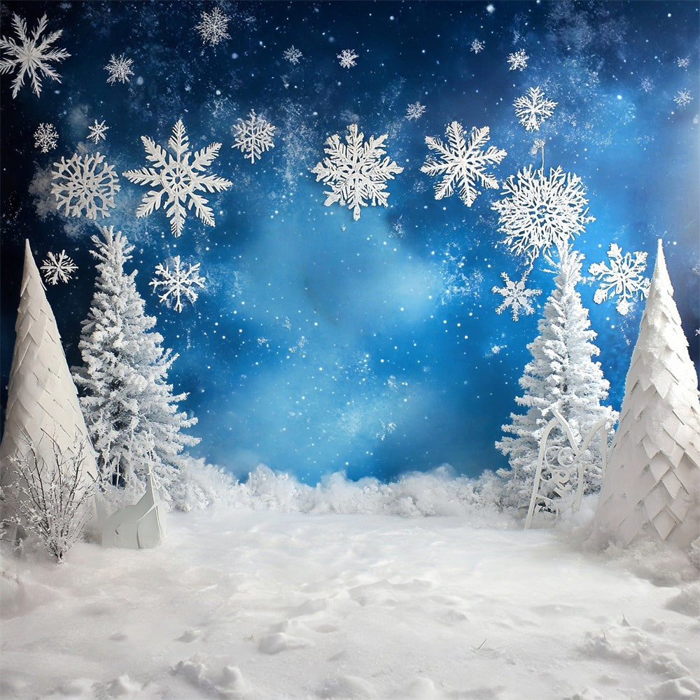 Schneeflocken Backdrop Frosted Blue Winter Backdrop MRR7-166