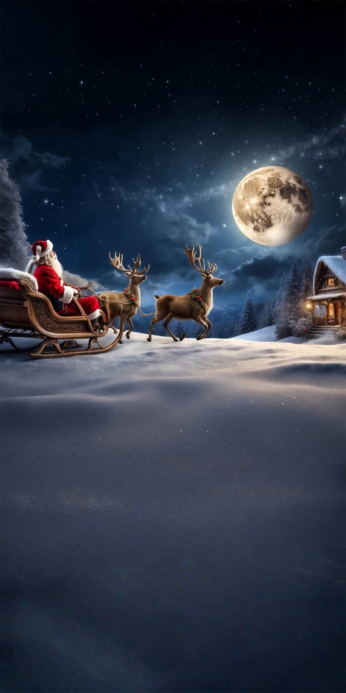 Weihnachtsdorf Backdrop Rentier Schlitten Weihnachtsmann Moonschein Nacht Weihnachten Fotokulissen MRR8-106