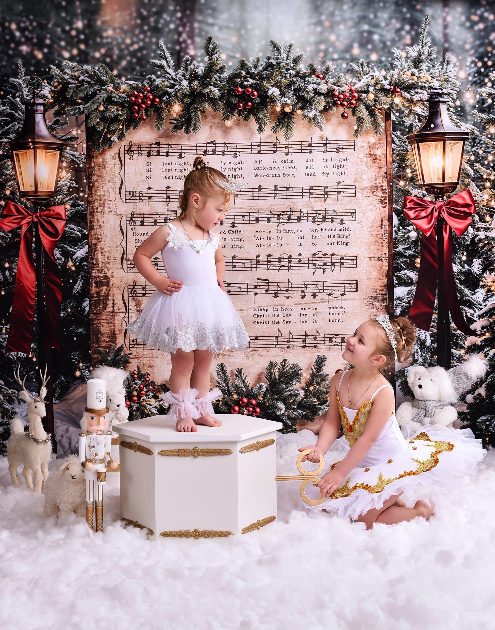 Joy To The World-Fotohintergrund Verschneite Weihnachtslieder Musik Weihnachts-Fotohintergrund MRR9-24